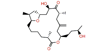 Amphidinolide T2
